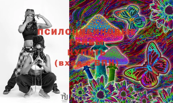 ПСИЛОЦИБИНОВЫЕ ГРИБЫ Аркадак