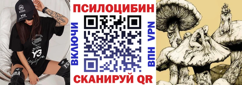 ОМГ ОМГ как войти  Вельск  Псилоцибиновые грибы ЛСД  купить наркоту 